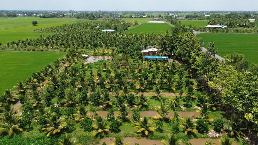 Nông trại Gia Vy Farm nhìn từ trên cao: vườn dừa, ao nước và nhà trại