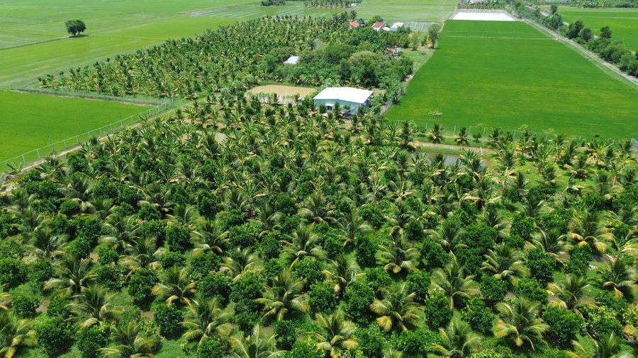 Các khu vườn của Nông trại Gia Vy Farm nhìn từ flycam