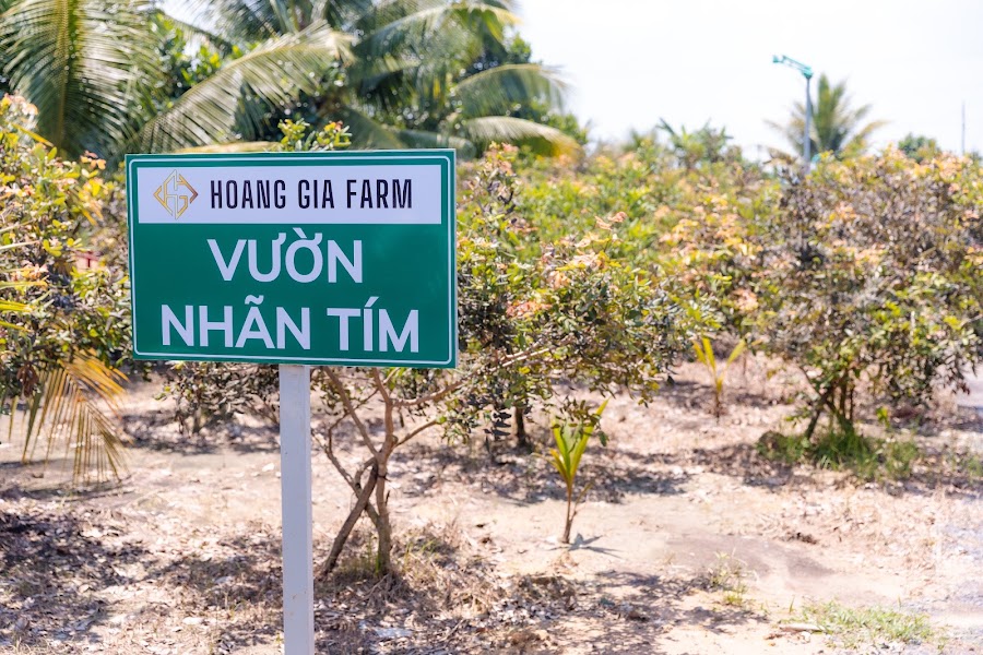 Biển Vườn nhãn tím Hoàng Gia Farm tại Nông trại Thiên Đường