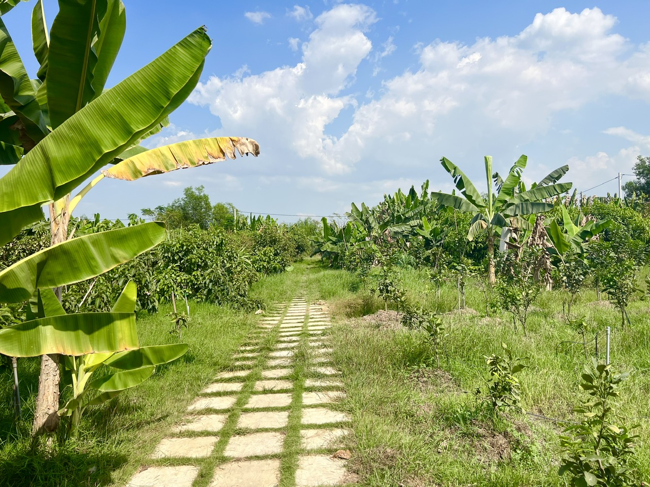 Nông trại Thiên Đường