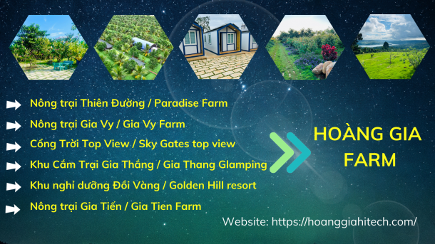 About us